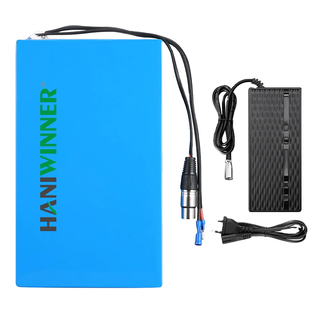 Custom Electric Bike Battery Case 18650 Cells 24V 36V 48V Lithium Ion Battery Pack For Ebike