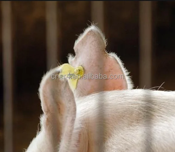 Ear Tag Animal Wear Tool for Livestock Goat/Cow ear tag animal ear tag with number bar code logo