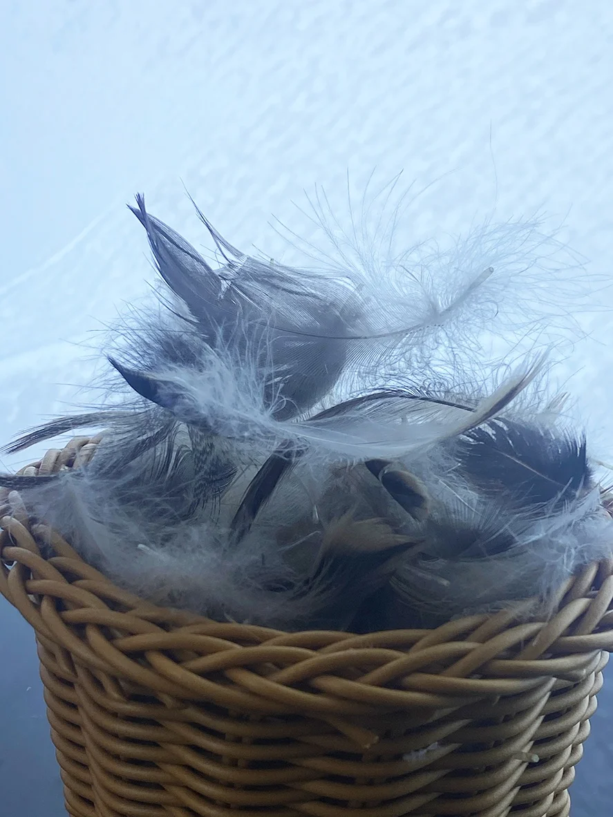 Wholesale Factory Bulk Natural Grey 2-4cm Duck Feather