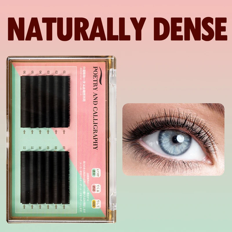 Wispy Super Strong Professional Accent Clean Look Eye Make-up 24 hour Lashbox Paired with Volumized Eyelashes Extension