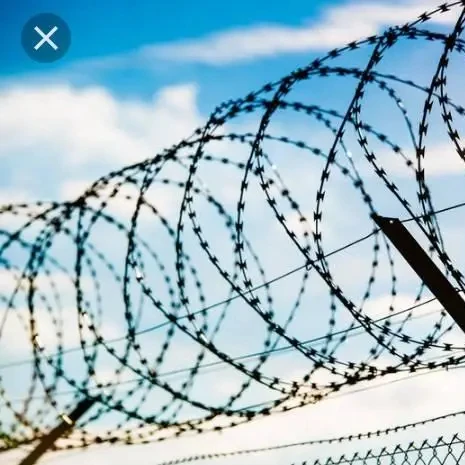 Factory Price Hot Sale Galvanized Razor Wire Fence/ Razor Barbed Wire