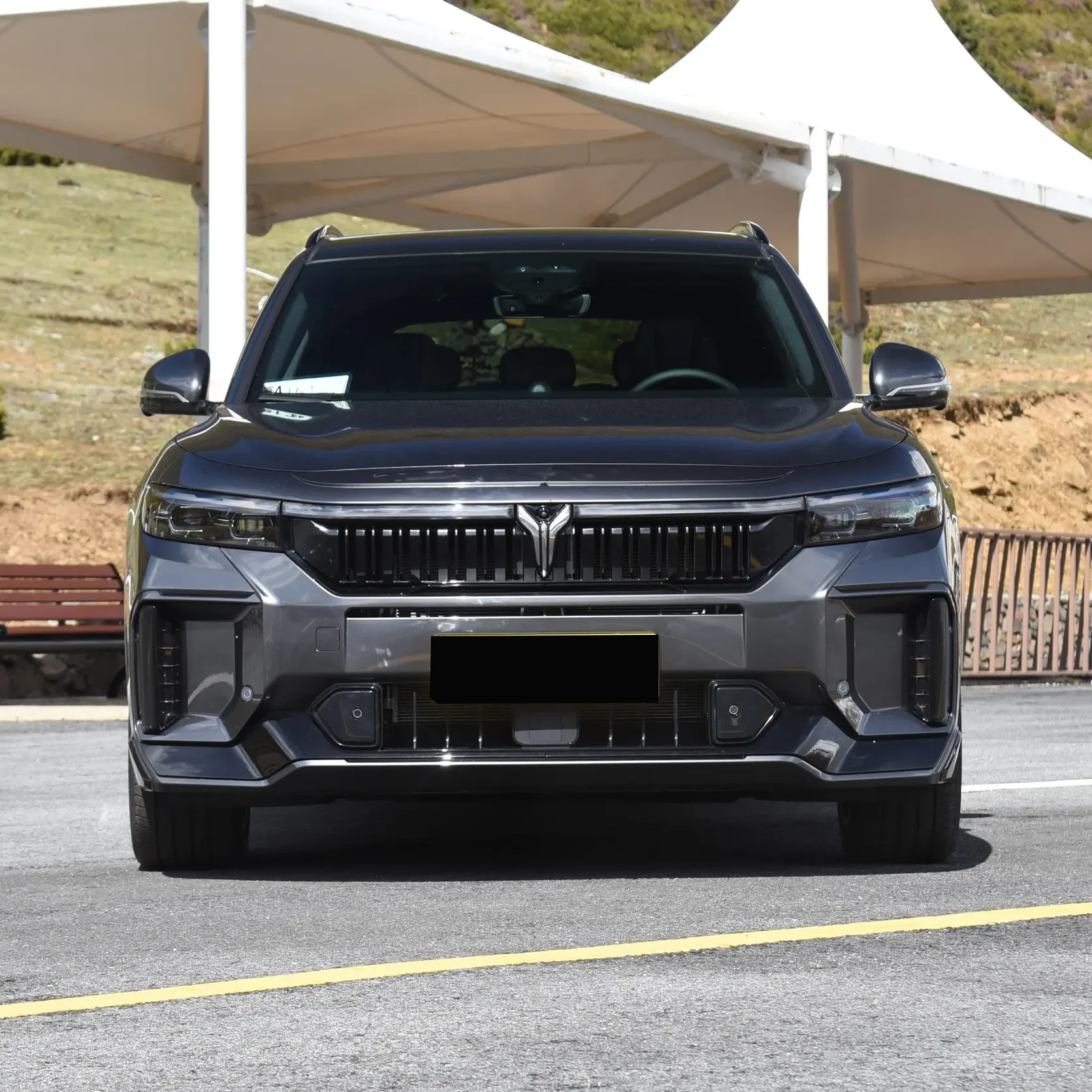 2025 Brand New Lantu Voyah 318km Long Range 4WD Voyah Free Hybrid Electric Car