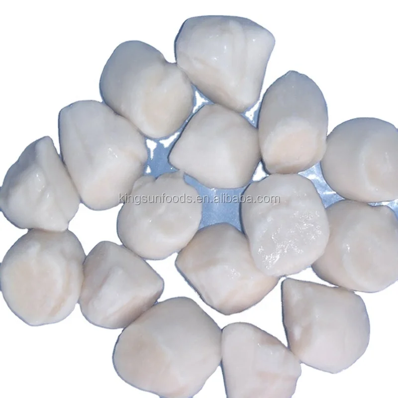New Season Good Price Frozen Sea Scallop Meat Hot Sale in Scallop