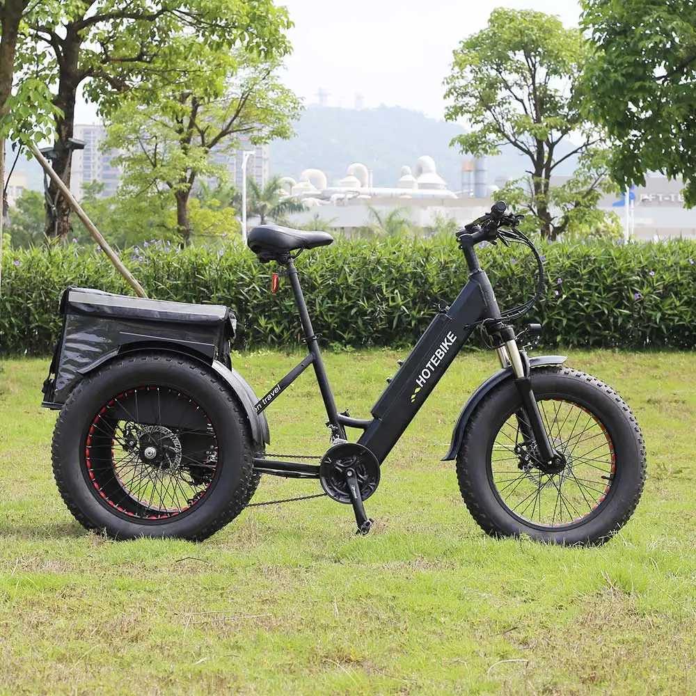 New model factory wholesale cargo ebike with big basket 3 wheels electric cargo bike/ebikes for adults electrical bike