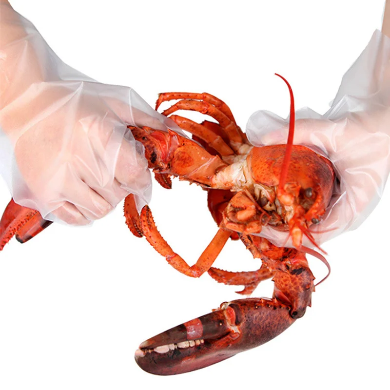 Home Work-Glove Food Grade Safety-Glove Kitchen CPE Hand Disposable-Gloves