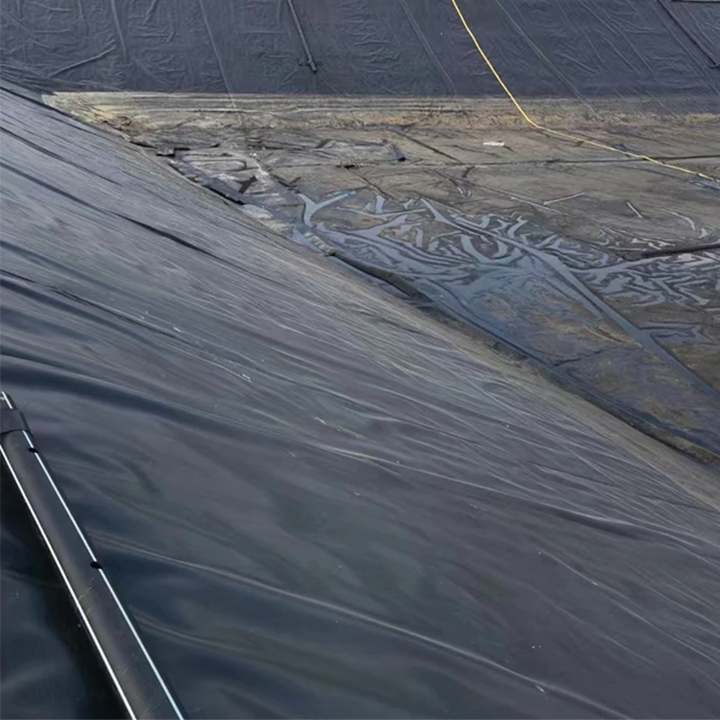ASTM High Quality 0.2mm~2.5mm HDPE LDPE Waterproof Geomembrane for Agriculture Pond Liner  for Landfill Anti-Seepage Geomembrane