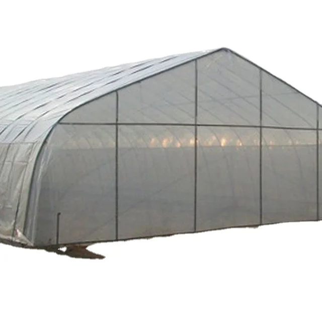 Small Strong garden 6x10m tunnel greenhouse