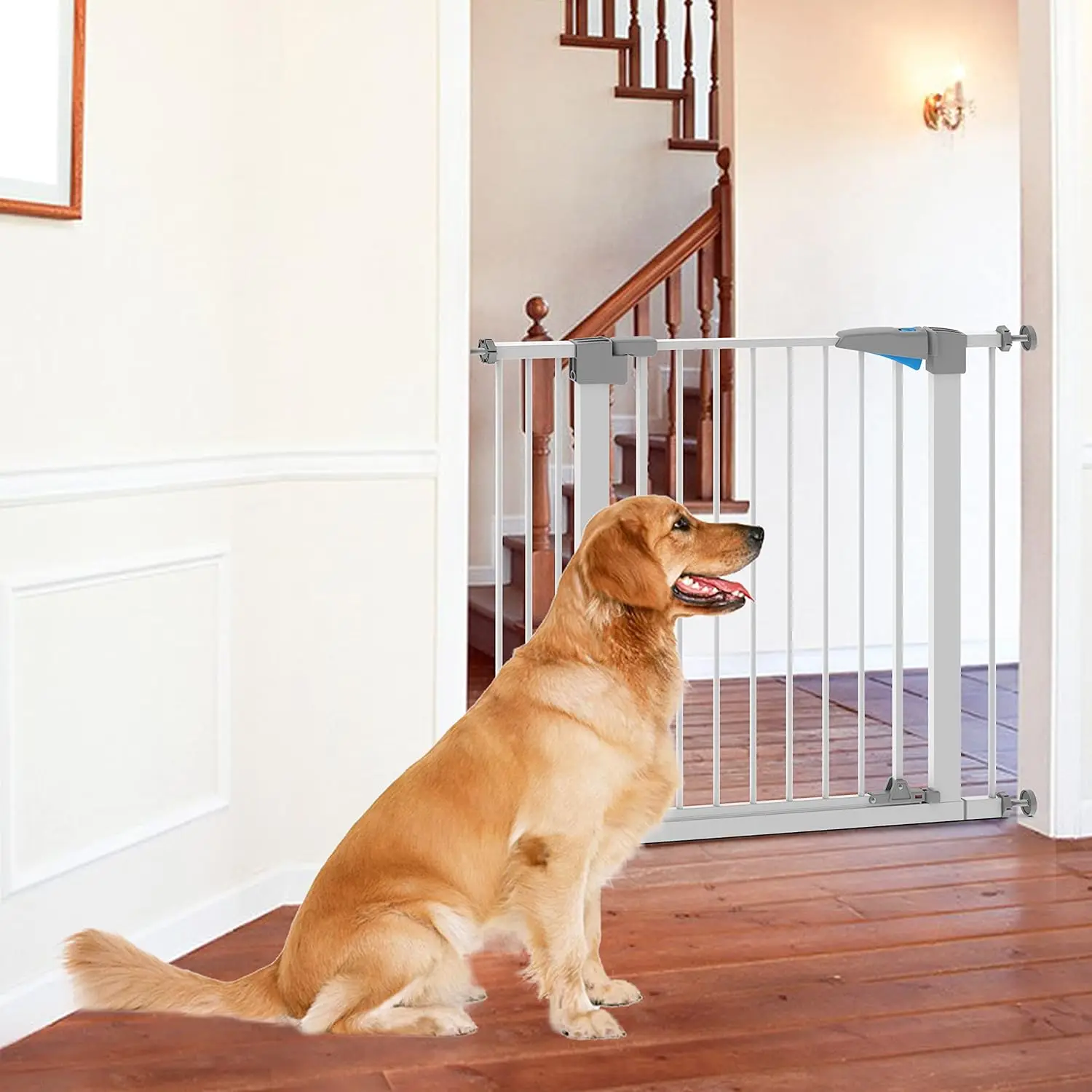 Pressure Mount Easily Step Over Indoor Baby Gates for Doorways and Hallways Small Dog Low Pet Gates Adjustable Puppy Dog Gate