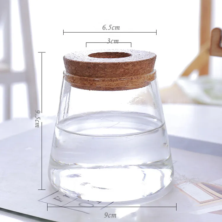 Plant Propagation Station Micro Landscape Terrarium Flower Vase Clear Ribbed Glass Home Garden Office Handmade Christmas Modern