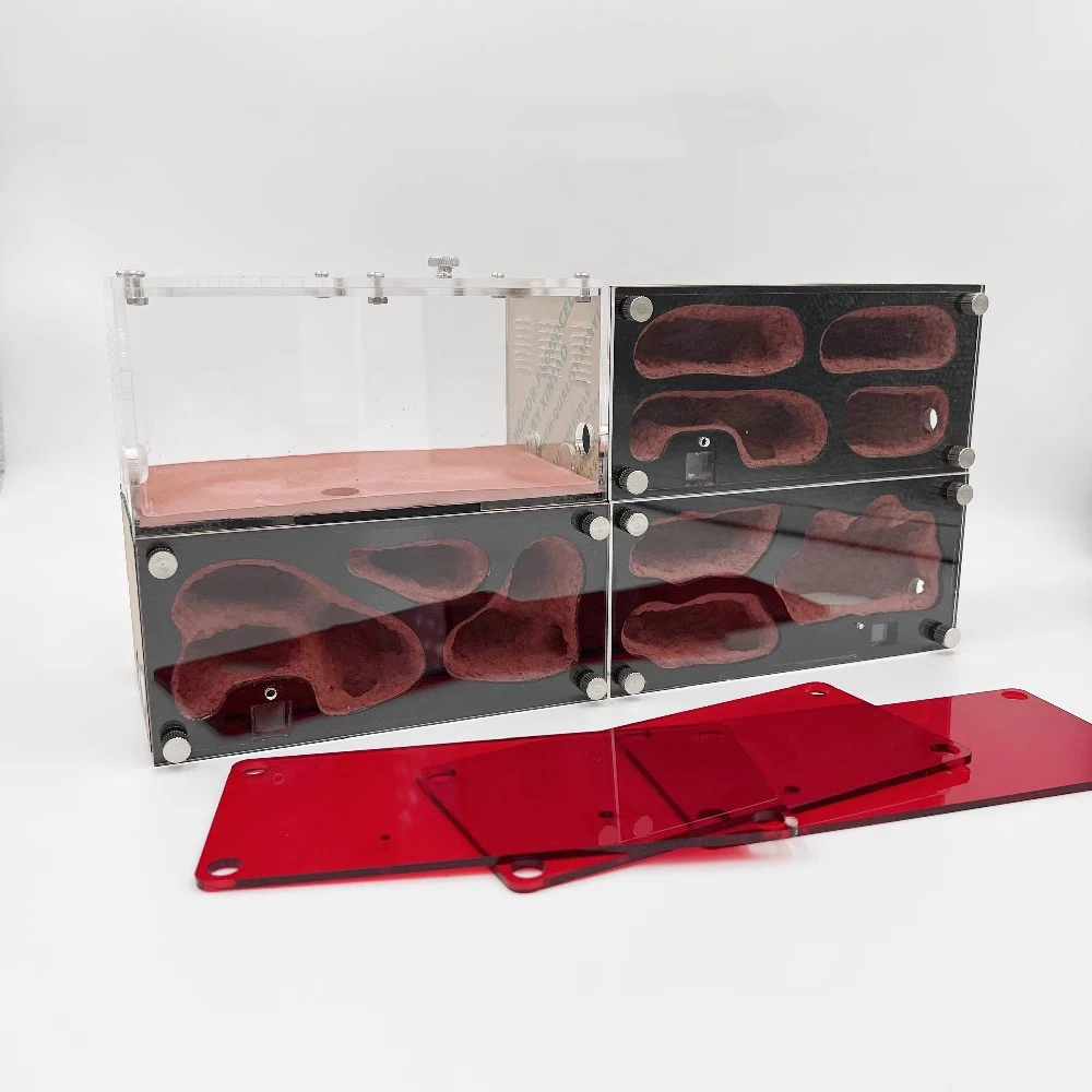 Ant Farm Set With Ants Drinker Temperature Control Concrete Ant Nest Infinite Expansion Insect House Anthill Kit Accessories