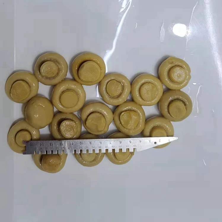 2021 quality canned mushroom
