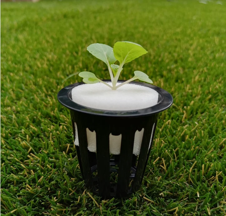 Greenhouse hydroponic system for seedling cultivation 2-inch planting basket mesh plastic cup