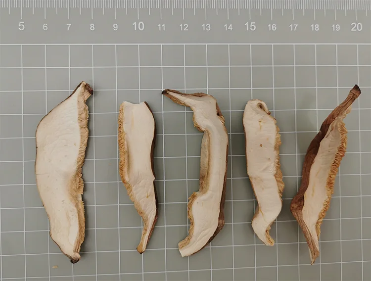 High Quality AD Dehydrated Mushroom Sliced Shiitake Mushroom Strips