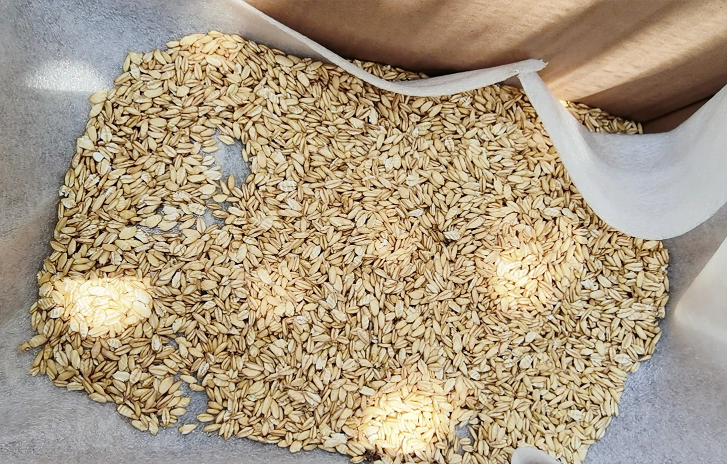 Grains Corn Flake Breakfast Cereal Making Machine Wheat Oats corn Flakes Press Flaking Making Machine