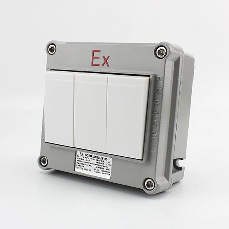220V 10A One Two Three Switch Aluminum Alloy Box Single-control Double-control Explosion-proof Switch Wall Switch Lighting