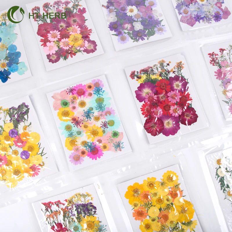 Hot Selling Dried Flowers Resin Jewelry Dry Flowers Plants Dried Pressed Flowers Natural for Resin Candle Material