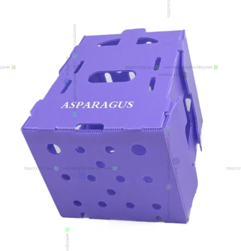 3mm 4mm 5mm Recycled Custom Logo PP corrugated Fruit Box Packing Vietnam Fresh Asparagus packing boxes
