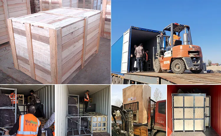 Hot Sale Life Size Outdoor Outdoor Garden Statue Bronze Lion Sculpture