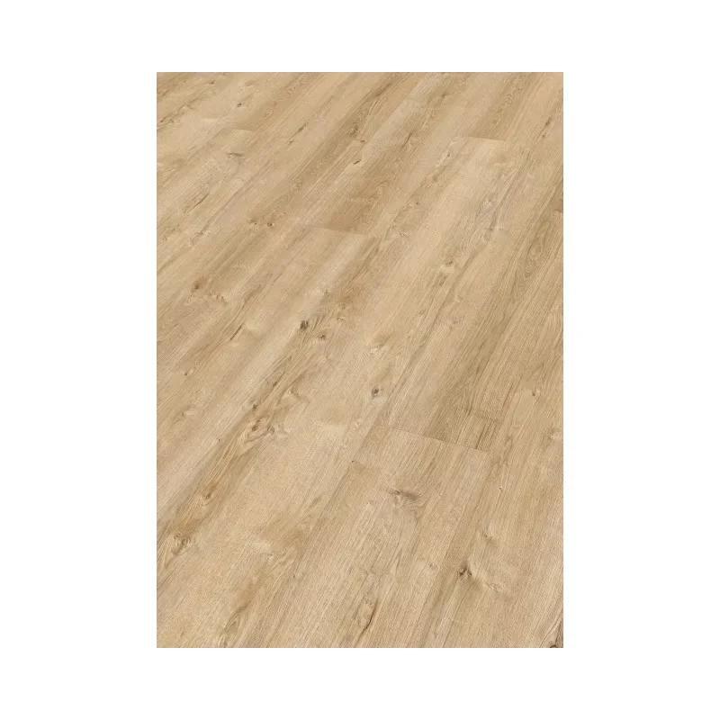 German High Performance Meister Design Next DL 500 S Looks Particularly Generous With 24 Hours Of Water Resistance