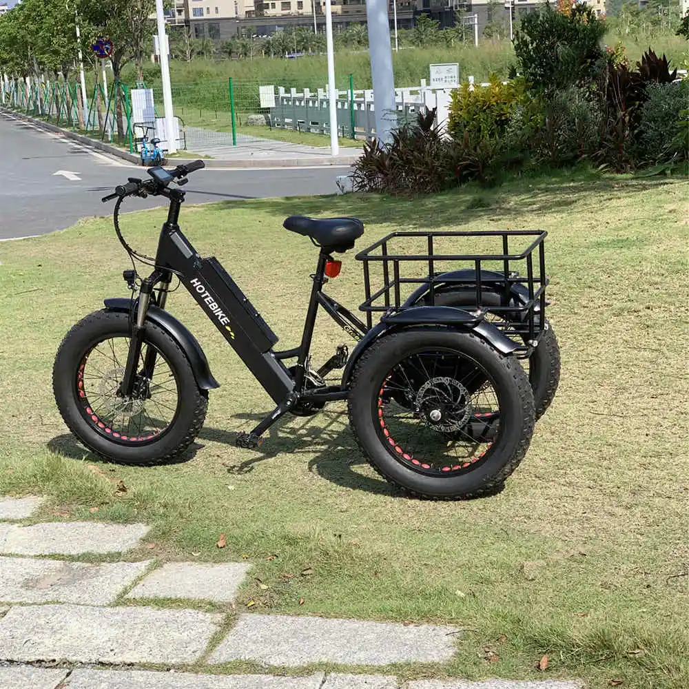 3 колеса Электрический трехколесный грузовой велосипед Максимальная скорость: 25 км/ч Эл famili; Грузовой 160 дисковый тормоз для е-байка