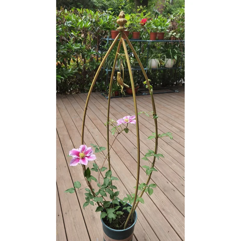 Garden metal climbing plant trellis plant stand decorative iron metal flower rack iron plant stand