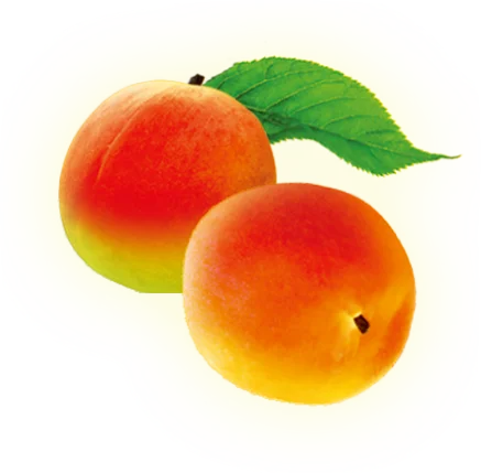 Richness fruits natural sweetness 180ml beverages alcoholic drink