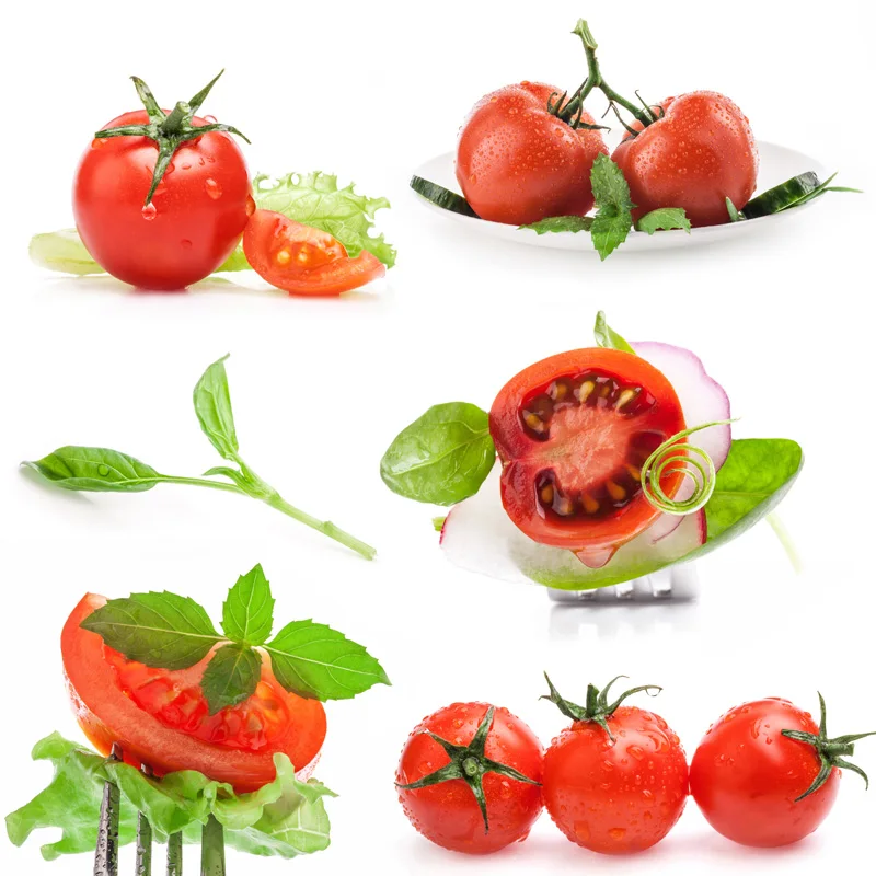 Indonesia HOT sell Fresh Tomato sweet  Natural red  Best quality wholesale fresh cherry tomatoes