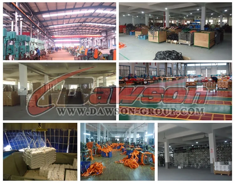 DAWSON Qingdao Rigging China Factory Nuclear Power Link Chain, Nuclear Reactor Circular Chain
