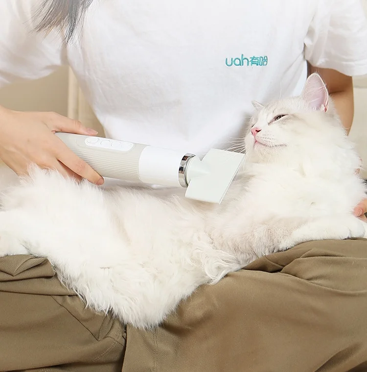 New Arrival Pet Dryer for Dog Portable Handheld Pet Grooming Hair Dryer with NTC Smart Temperature Control for Household