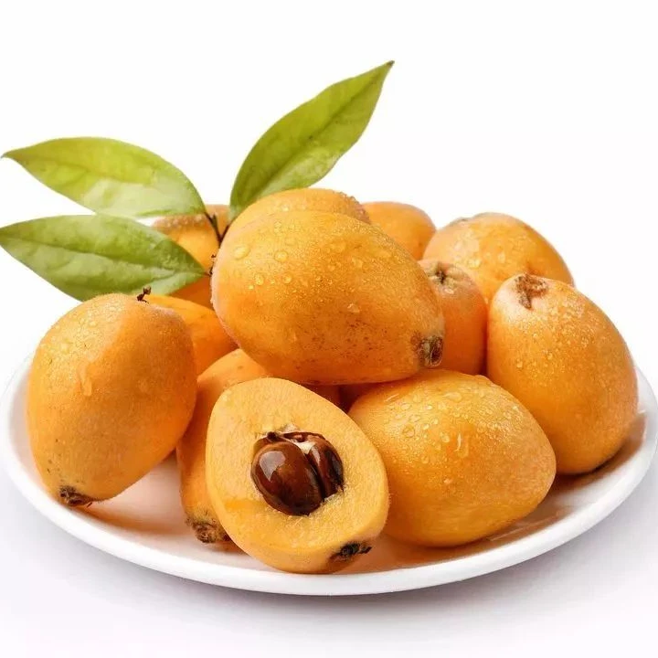 Аутентичные свежие большие фрукты loquat из Фуцзянь, Китай