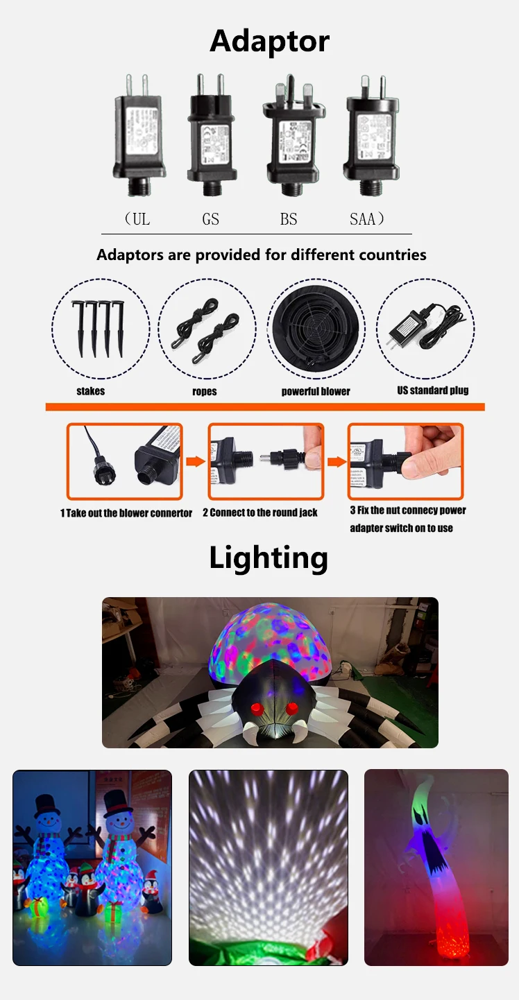 Adaptor and Lighting