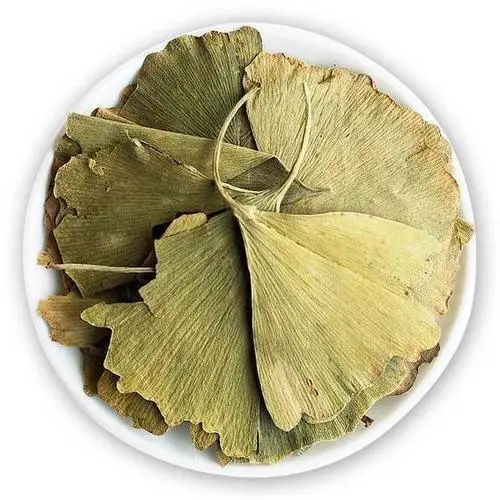 Wholesale the most popular pure natural ginkgo biloba powder