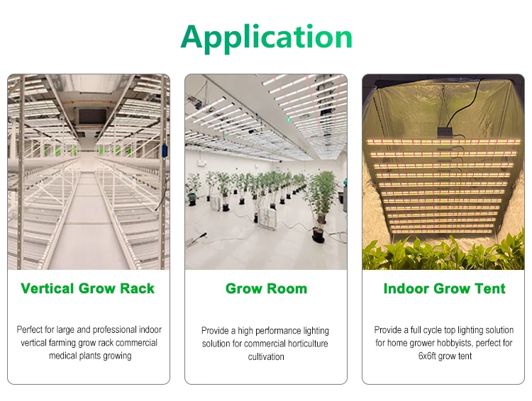 spider grow light (7)