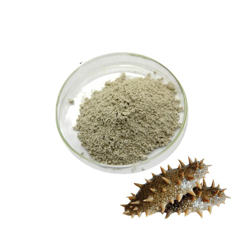 
High Quality sea cucumber peptide With Cheap Price 