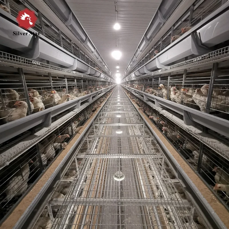 Fully Automatic Poultry Egg Laying Farm H Type Chicken Layer Cage for Africa for Nigeria.jpg