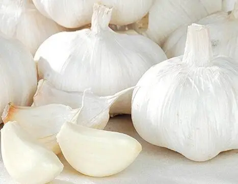 
buy discounts factory top quality fresh white garlic vegetables in stock 