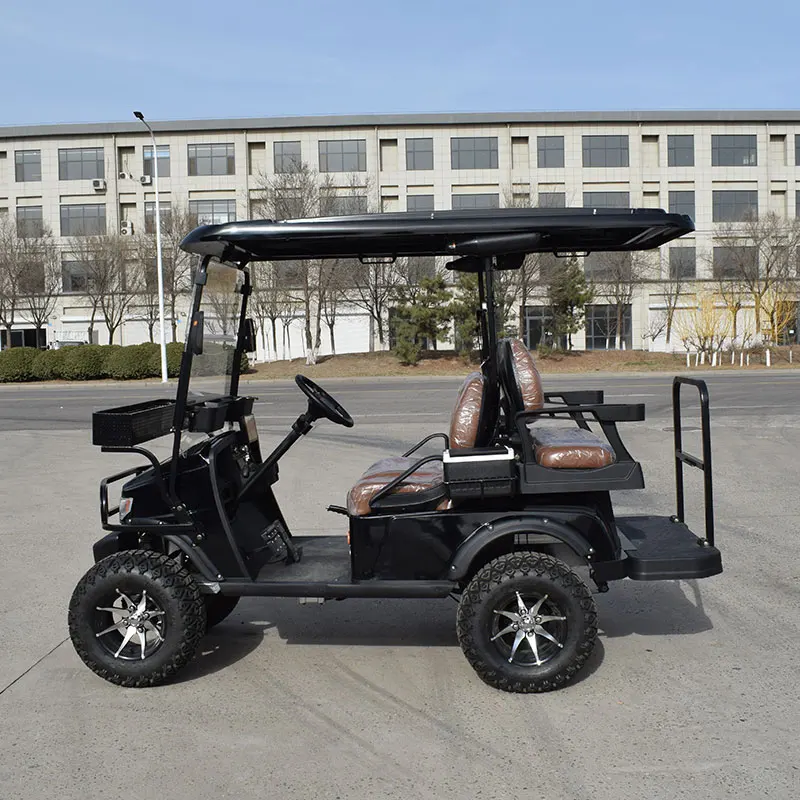 classic mini electric golf buggy for tourist use
