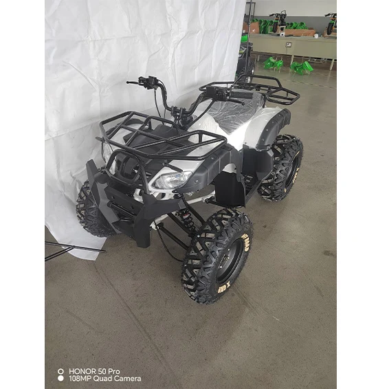 New Design Gas 200CC ATV 10inch Steel 4 Wheeler with Electric Start Outdoor Use Powerful Quad Motorbike