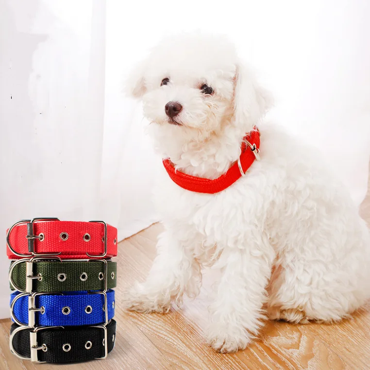 Pet Dog Collar Wholesale Multi- color Nylon Padded Pet Collar Adjustable Buckle Cat Dog Collar