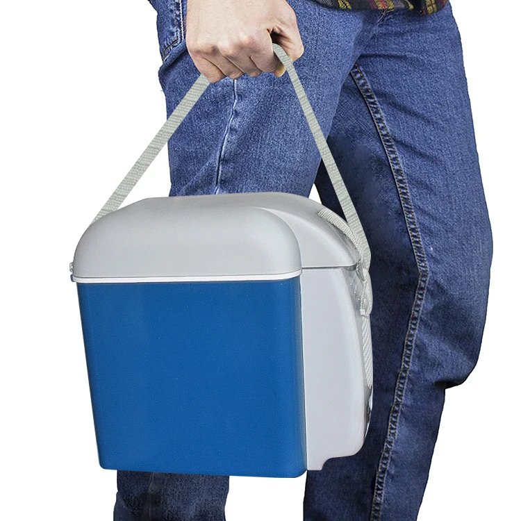 Elegant shape selling well all over the world mini refrigerator for car