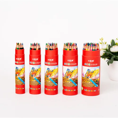 12 Colors Water Soluble Color Pencil Set For Artist Painting Custom Colored Lead Wooden Pencil - Water Soluble Color Pencil Set