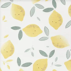 1MOQ Stock 100%Cotton For Baby T-shirt Clothing Material Double Sided Children Fruit Printed Interlock Fabric Tissu Customizable