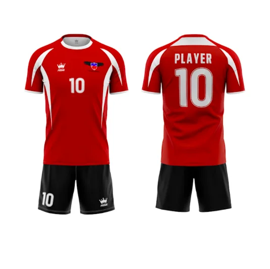 Спортивная форма национальной команды, Джерси, футболка, футболки, фанаты, версия игрока, имя пользователя, логотип, номер