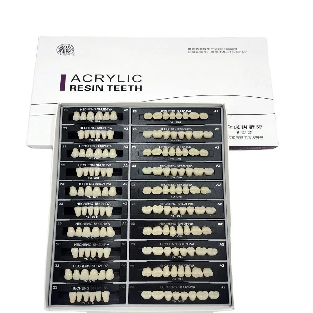 High Quality Denture False Artificial Acrylic Teeth With Factory Price