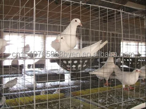 Оцинкованная Сварная панель из железной проволоки 2x2 панели с ПВХ покрытием для крупного рогатого