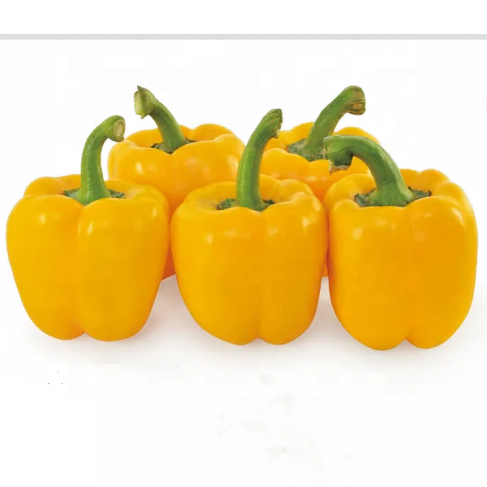 2020 гибридные F1 семена Желтого перца для посадки
