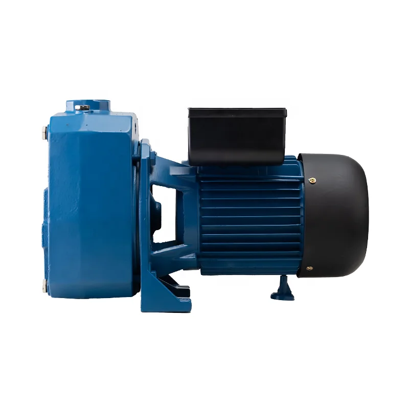 Thailand High Efficiency 1.5Hp 2Hp Dp Series High Pressure Deep Well Self Priming Water Jet Pump
