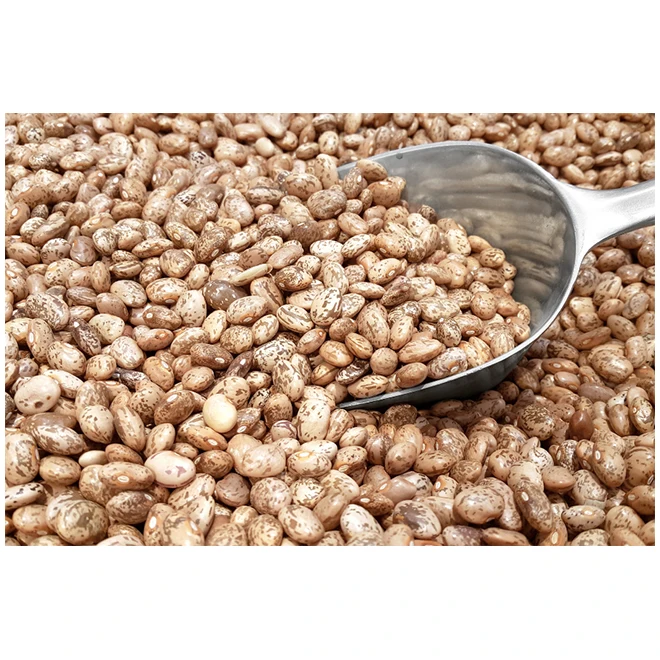 New Premium Pinto Beans-высокое качество Лучшая цена непосредственно от производителя