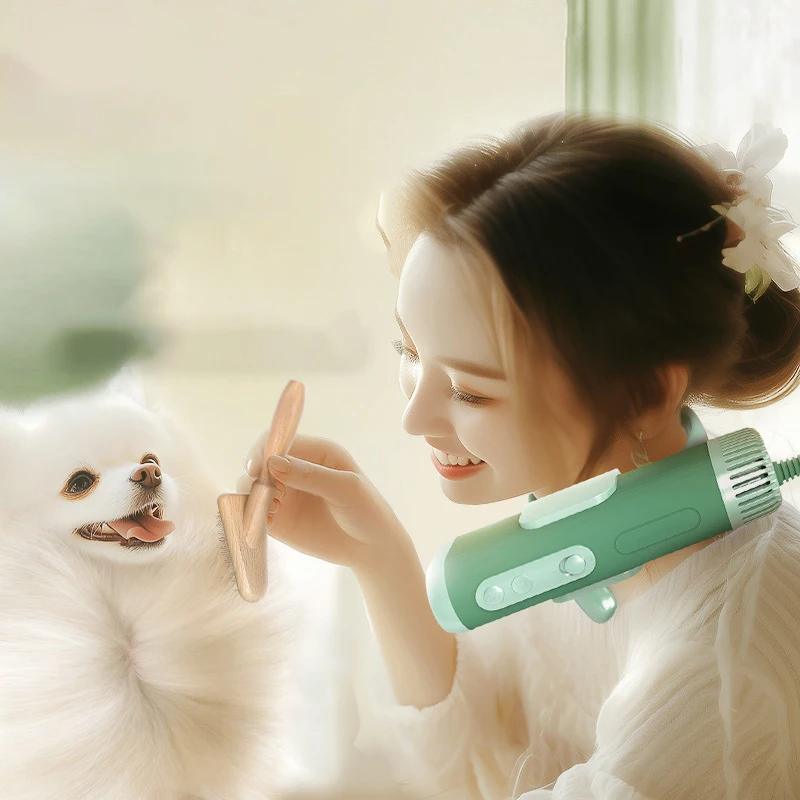 Pet Hair Dryer High Power Silent Hair Blowing Artifact Large And Small Dog Water Blower Special For Dogs