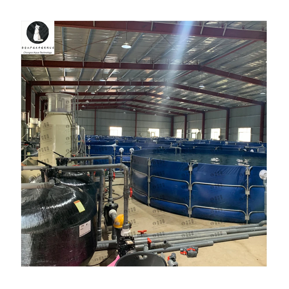 CATAQUA Indoor Fish Farm Fish Farming Equipment Aquaculture System Ras Fish Farming Equipment